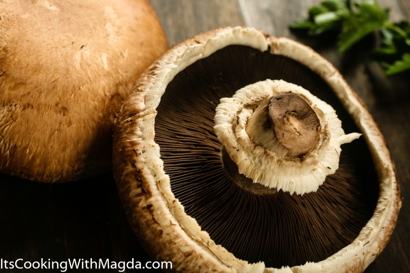 portobello mushroom