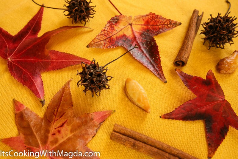 leaves, cinnamon sticks on a yellow tablecloth