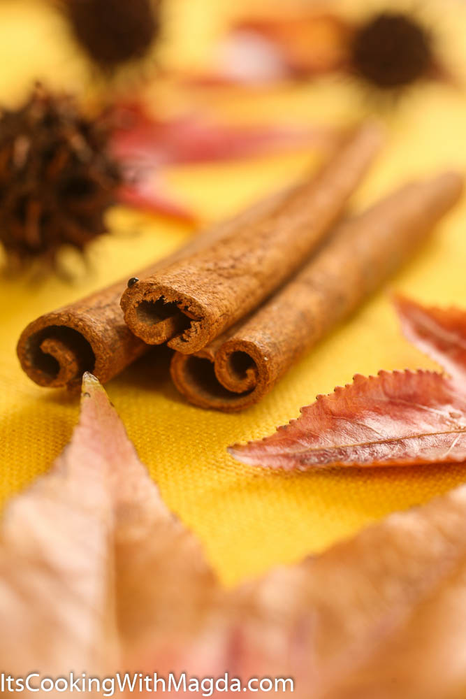 cinnamon sticks, leaves and a small bug