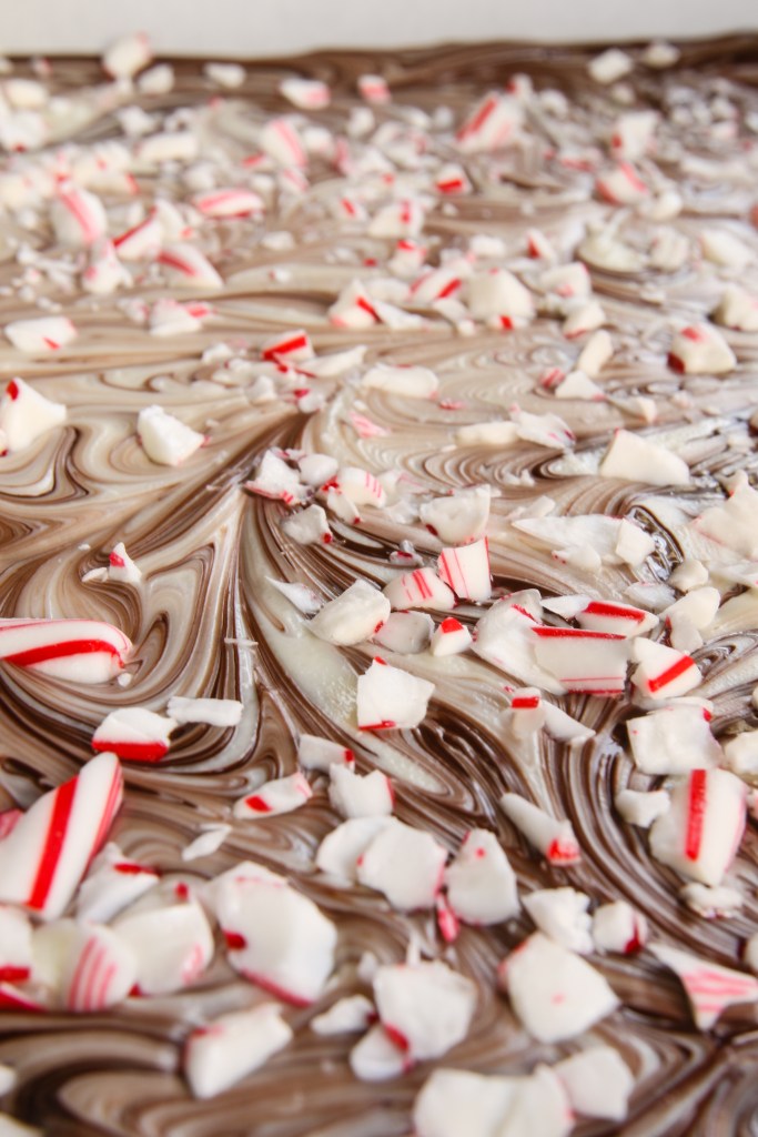 white and dark chocolate swirls with peppermint
